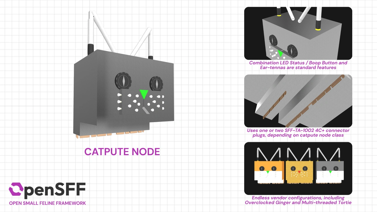 Catpute Node features