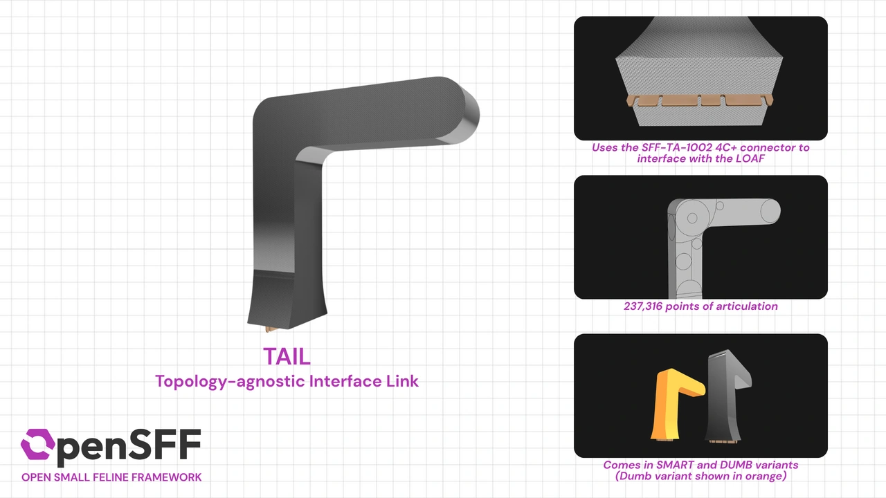 TAIL features